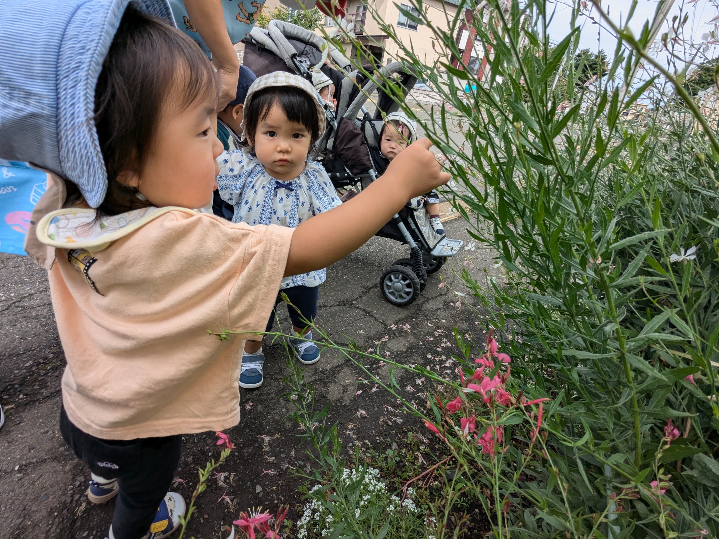 子ども達